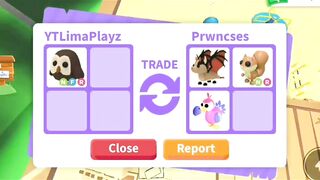 OMG! Did They Overpay For Their Dream Pet In Adopt Me (Roblox)