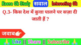 Top 5 Funny Gk Questions in Hindi || Interesting Gk || General Knowledge in Hindi || Gk Sawal Jawab