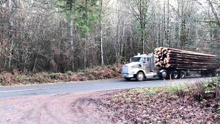 LOWBOY / LOGTRUCK COMPILATION #5