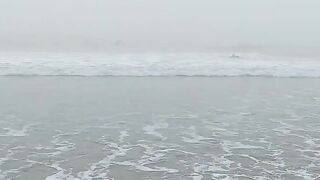 North Florida Surf and Beach Update 655am 02.27.2022