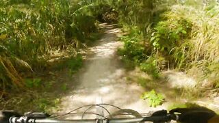 FUNKY trails on the BEACH (Virginia Key)