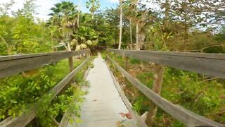 FUNKY trails on the BEACH (Virginia Key)