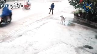 Man chasing dog #3. Defend against dog attack - Funny moments.