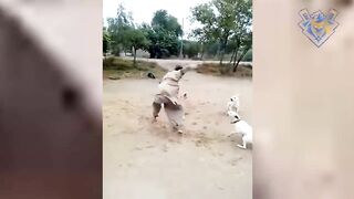 Man chasing dog #3. Defend against dog attack - Funny moments.