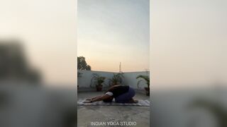 Indian Yogini 5 YOGA POSES FOR BEGINNERS & YOGA FLOW PRACTICE | Yoga Challenge | Yoga Girl