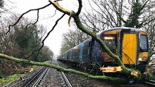 Trains Hitting Trees Compilation 2022