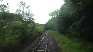 Trains Hitting Trees Compilation 2022