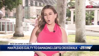 Man pleads guilty to LGBTQ crosswalk damage in Delray Beach