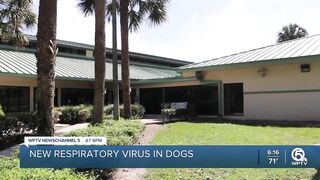 Palm Beach County Animal Care and Control quarantines dogs following outbreak