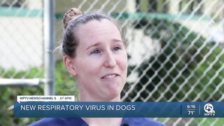 Palm Beach County Animal Care and Control quarantines dogs following outbreak