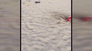 High school students skipping class left Miami Beach a total mess