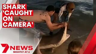 Teenager catches bronze whaler shark at Henley Beach | 7NEWS