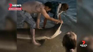 Teenager catches bronze whaler shark at Henley Beach | 7NEWS