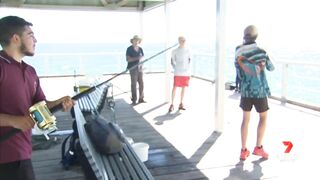 Teenager catches bronze whaler shark at Henley Beach | 7NEWS