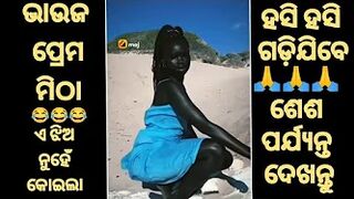 କୋଇଲା ଖଣି || Odia Comedy || Odia Troll Comedy || Funny Roast || Viral Video || Viral Boy || Trading