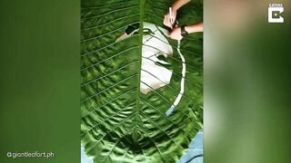 ART ON GIANT LEAVES // Artist Creates Celebrity Portraits On Leaves