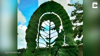 ART ON GIANT LEAVES // Artist Creates Celebrity Portraits On Leaves