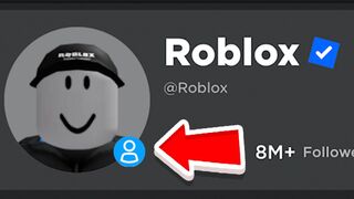 The ROBLOX ACCOUNT just came ONLINE…