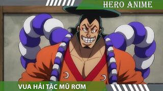 Review One Piece #SS20 ARC WANO QUỐC ???? Tóm tắt Đảo Hải Tặc Tập 1035