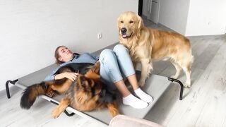 Sleeping in My Dogs' New Bed | Funny Dog Reaction