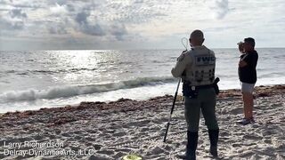 Alligator Swims Along A Florida Beach -- DJI Mini 2 Drone Video