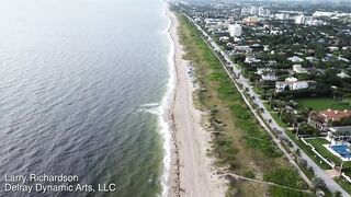 Alligator Swims Along A Florida Beach -- DJI Mini 2 Drone Video