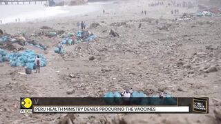 WION Climate Tracker | Vaccines dumped on Peru's Oquendo beach | Latest World News | WION