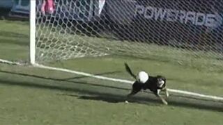 Dog makes incredible goalline save