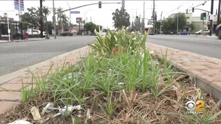 Artesia Boulevard corridor in Long Beach getting long overdue facelift