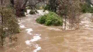 The wrath of nature hit Australia! River stream flooded the city of Bendigo, Victoria