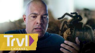 Family Believes Pet Tarantula Has Demonic Attachment | My Possessed Pet | Travel Channel