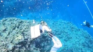 Deep Underwater Girl Swimming | Bikini Girls Swimming In Underwater 102 | Underwater Official 10M