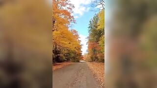 Travel Vlog: Canada Fall Season 2022