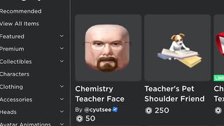 this is PEAK roblox catalog...