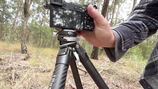 BEST Travel Tripod w/ QUICK RELEASE SYSTEM Strong & Lightweight