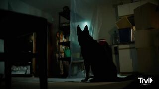 Woman Believes Her Dog Is Gripped By Supernatural Forces | My Possessed Pet | Travel Channel