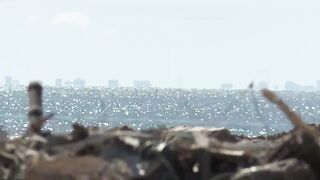 Beach Reopening Still Uncertain in Lee County