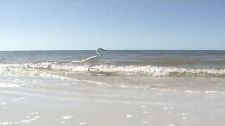 Beach Reopening Still Uncertain in Lee County