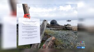 Bloated dead whale named Spike washes ashore on British Columbia beach