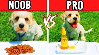 NOOB VS PRO Food Challenge w/Winky & The Norris Nuts