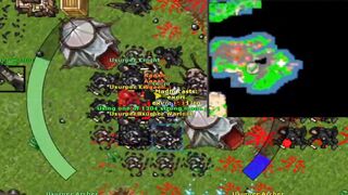 Amazing profit spawn in Tibia! Hunting at the beach in Bounac.