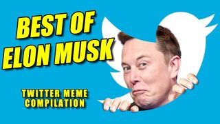 Elon Musk twitter meme compilation | Mémválogatás