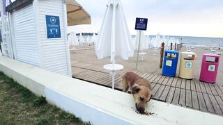 Antalya Side Sea beach promenade walk #TURKIYE #side #turkey #antalya