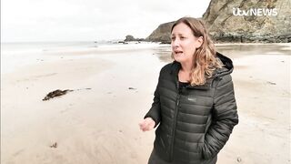 Raw sewage spills into sea at St Agnes Beach in Cornwall amid heavy rainfall | ITV News