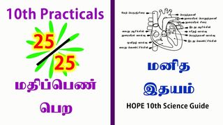 10th Science Practicals-Observation of Models-Human Heart