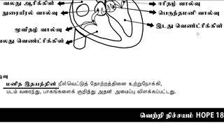 10th Science Practicals-Observation of Models-Human Heart