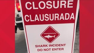 Del Mar Beach closed after shark attack