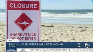 Del Mar beach closed after a woman was bit by a shark