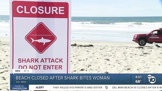 Del Mar beach closed after a woman was bit by a shark