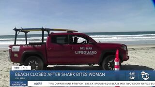 Del Mar beach closed after a woman was bit by a shark